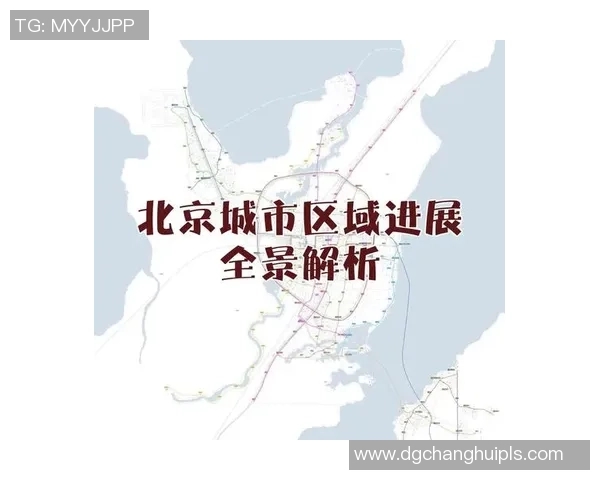 南京网球队运营革新全景解析助力体育产业新发展